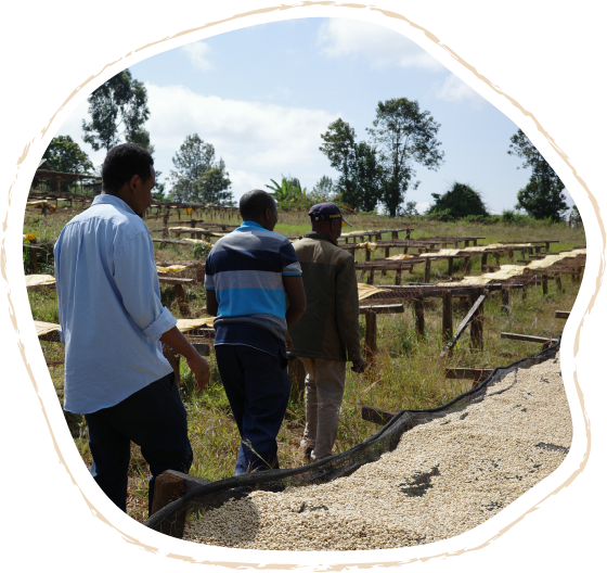 ケニア最高のコーヒーから、世界中のコーヒーのサスティナブルな未来を創りたい