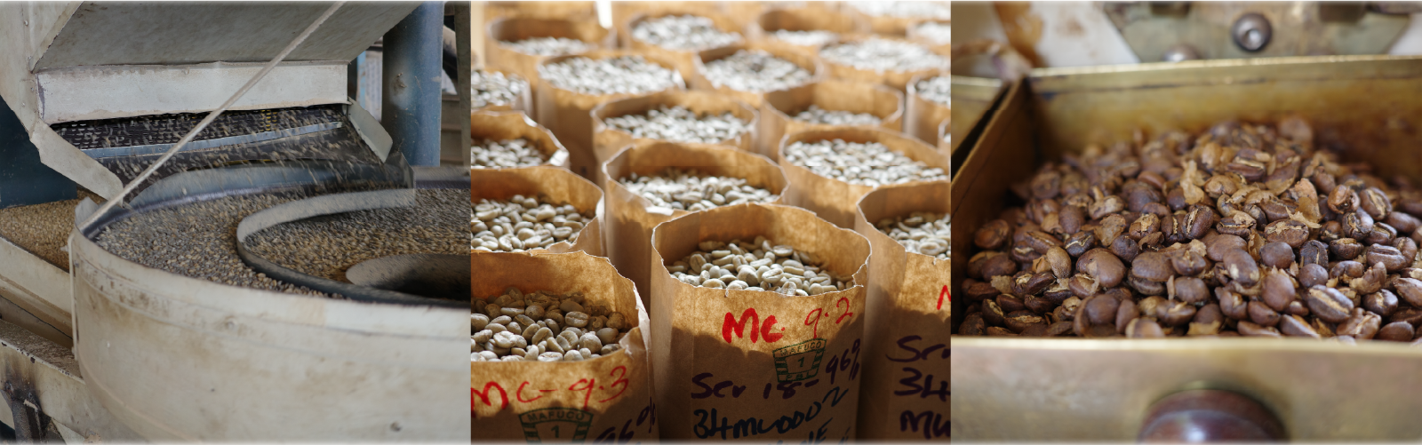 等級に縛られない、新しい価値観